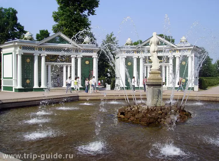 Трельяжные беседки, Петергоф Трельяжные беседки, Петергоф
