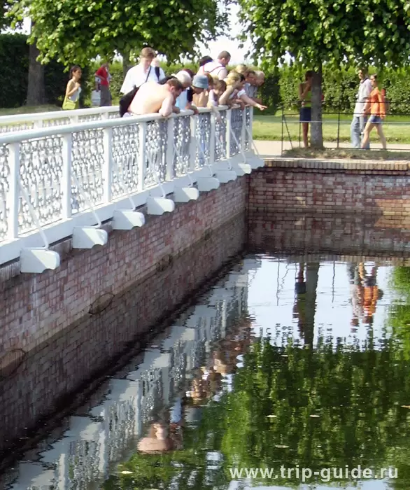 Рыбалка осетров Рыбалка осетров