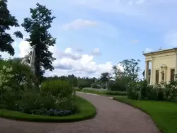 Колонистский парк в Петергофе, фото 78