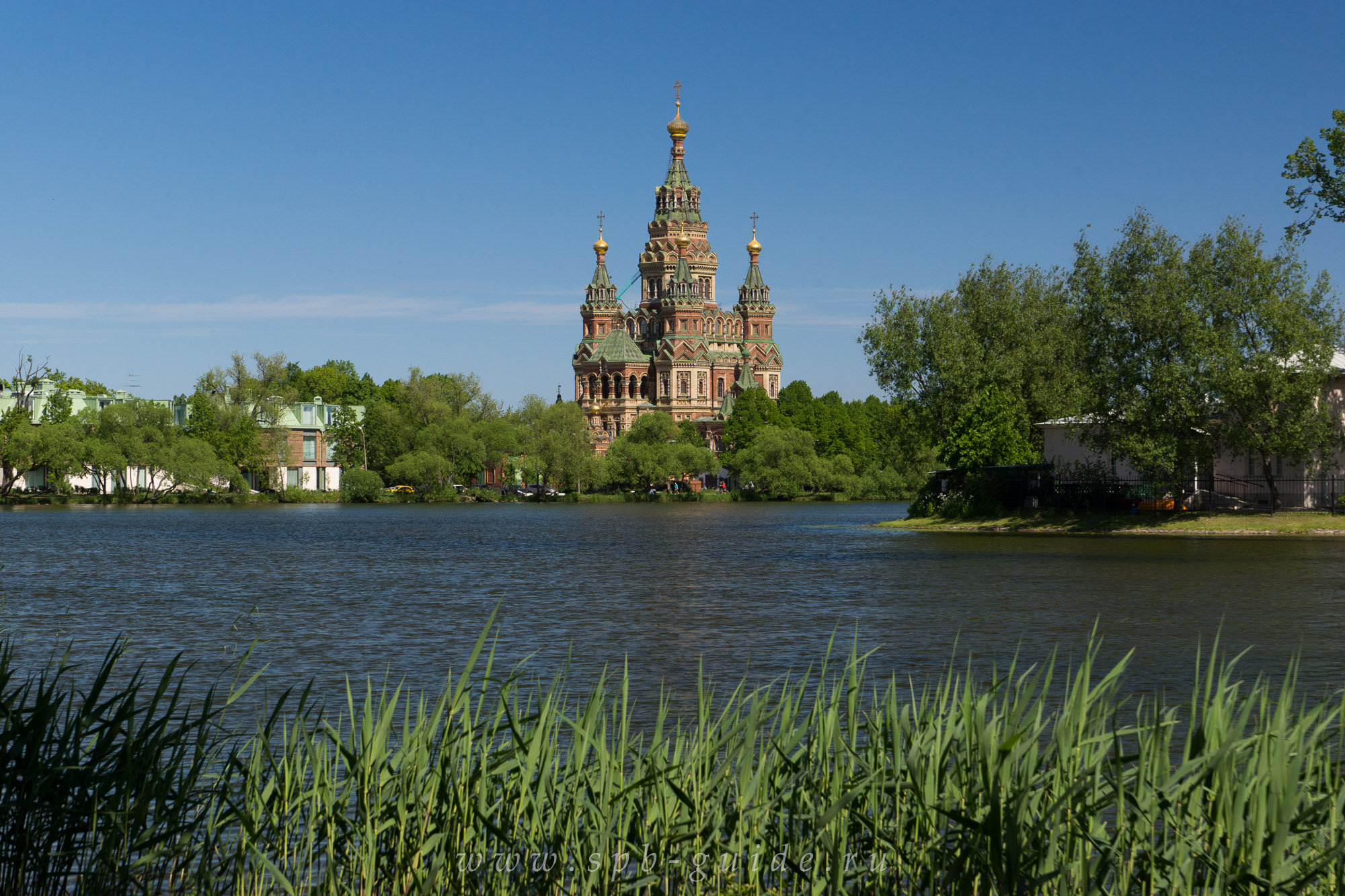 Ольгинский пруд спб. Ольгин пруд в Петергофе. Петродворец Ольгин пруд. Колонистский парк в Петергофе. Колонистский пруд в Петергофе.