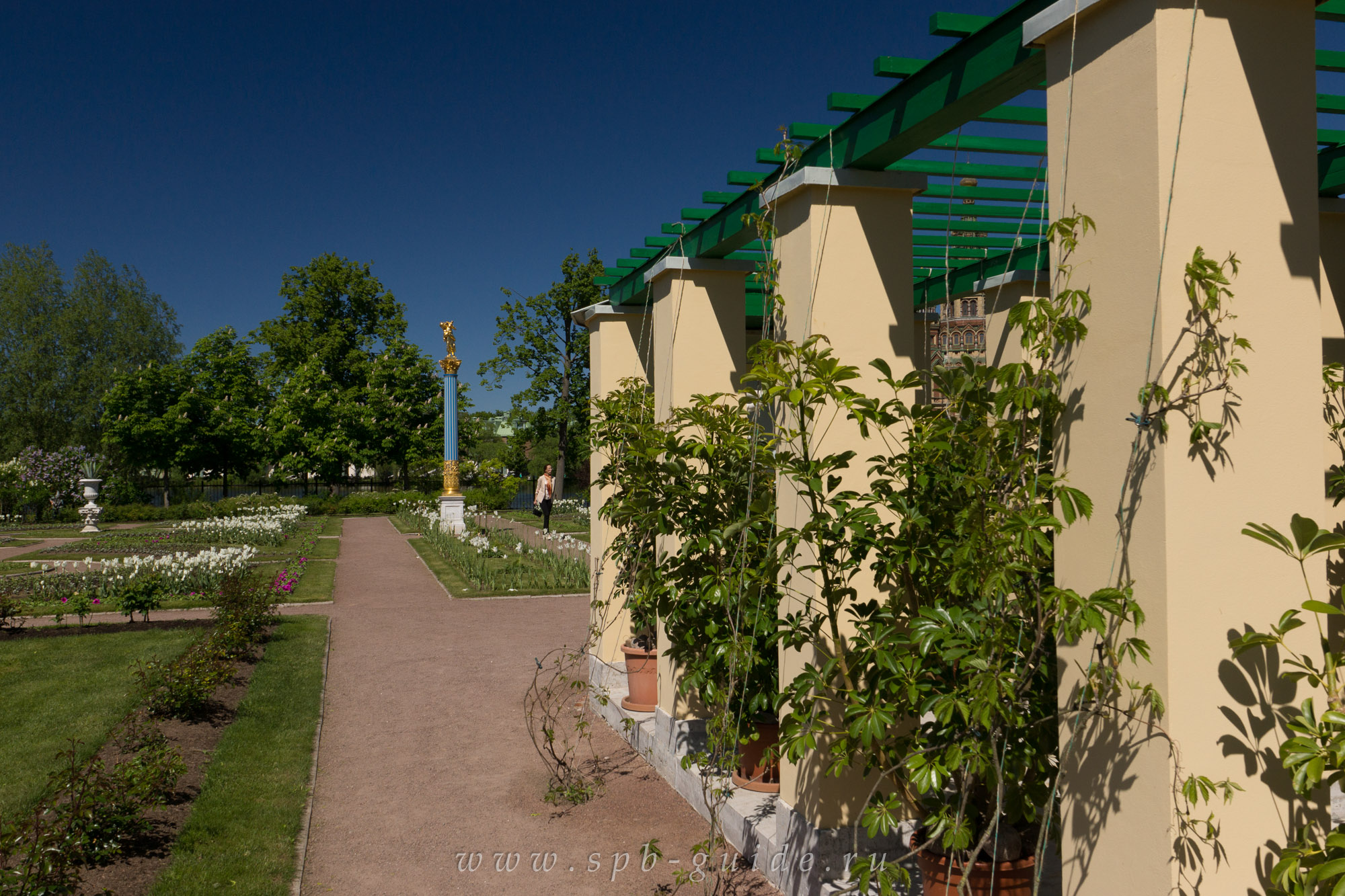 Пергола, увитая плющом Пергола, увитая плющом