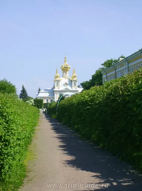 Вид на придворную церковь Вид на придворную церковь