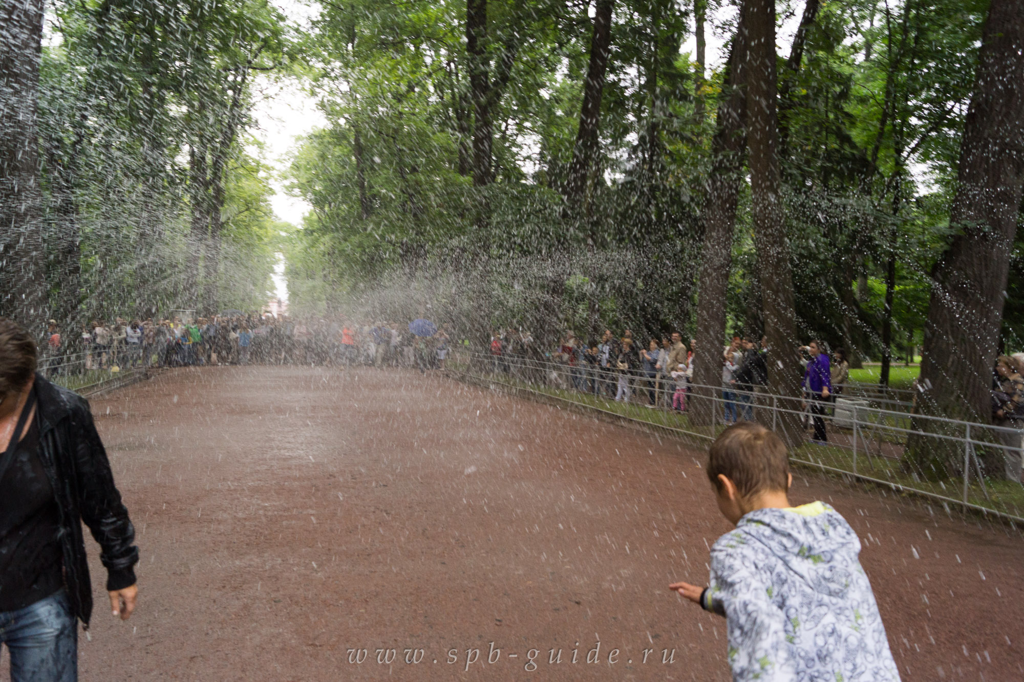 Фонтан-шутиха Водяная дорога в Петергофе