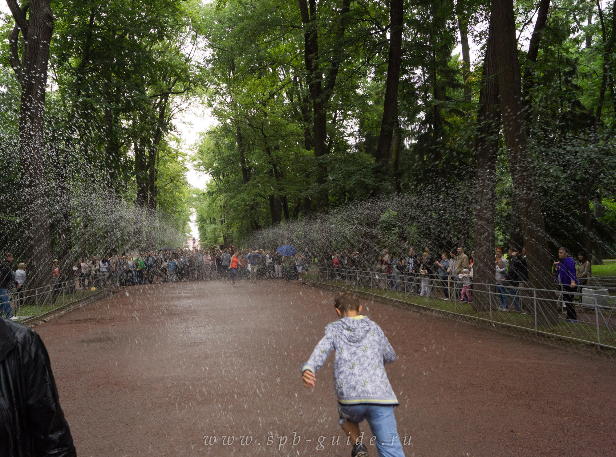 Фонтан-шутиха Водяная дорога в Петергофе