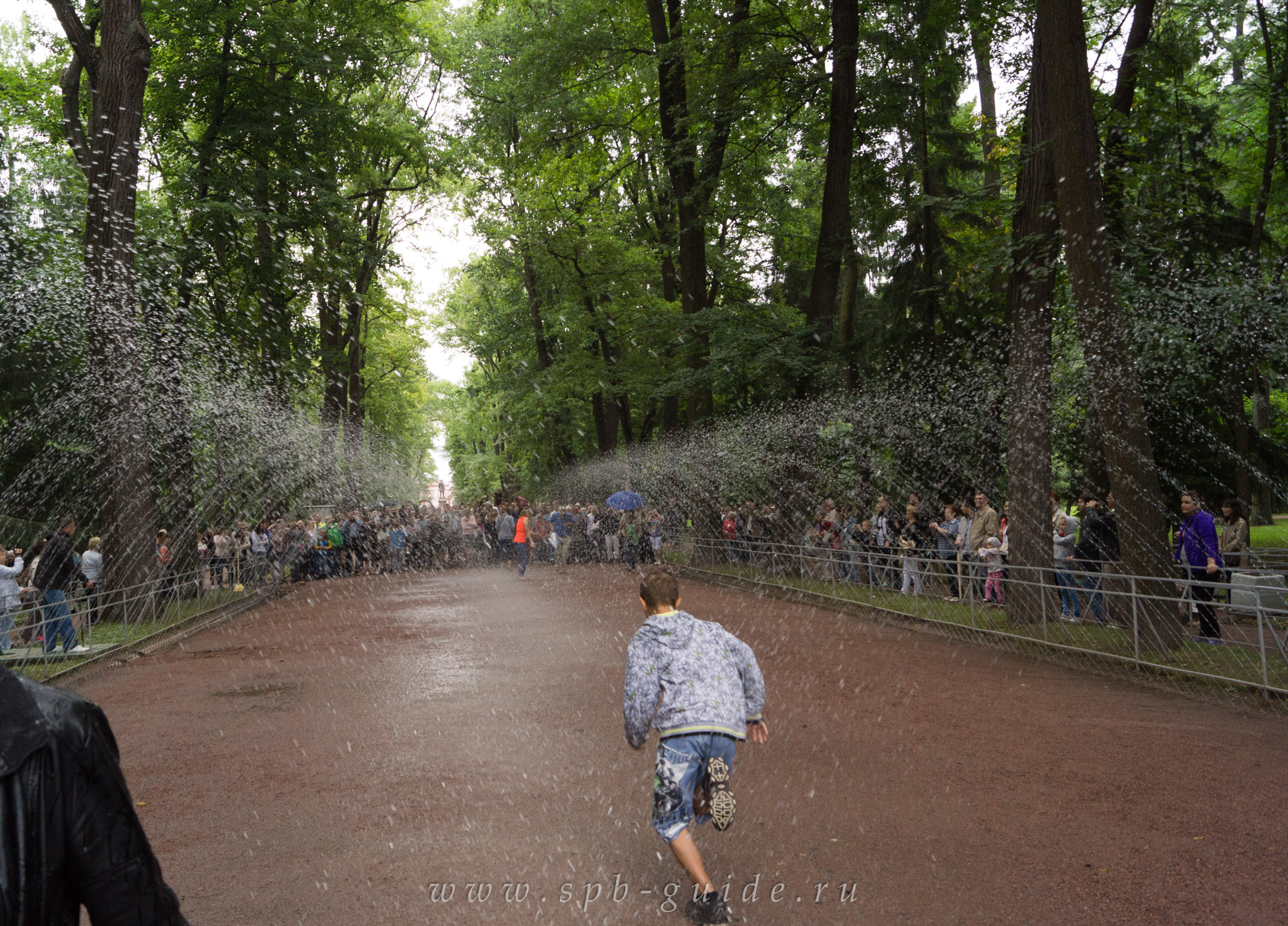 Фонтан-шутиха Водяная дорога в Петергофе