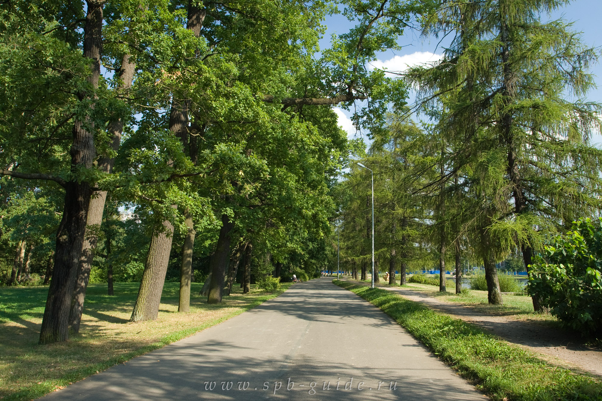 Парк им кирова в санкт петербурге