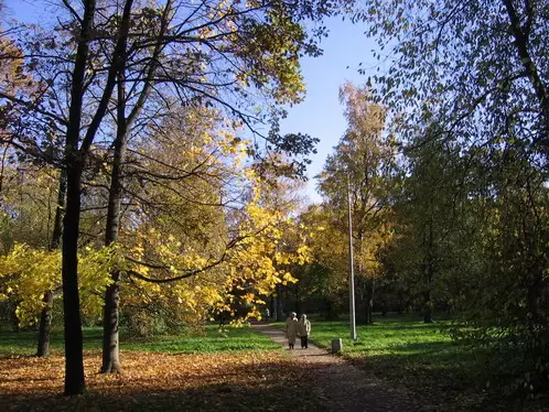 Парк на Елагином острове. Осень Парк на Елагином острове. Осень