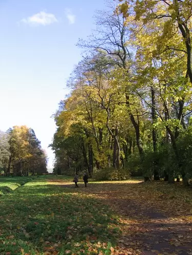 Парк на Елагином острове. Осень Парк на Елагином острове. Осень