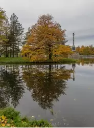 Золотая осень и Чесменская колонна в Царском Селе