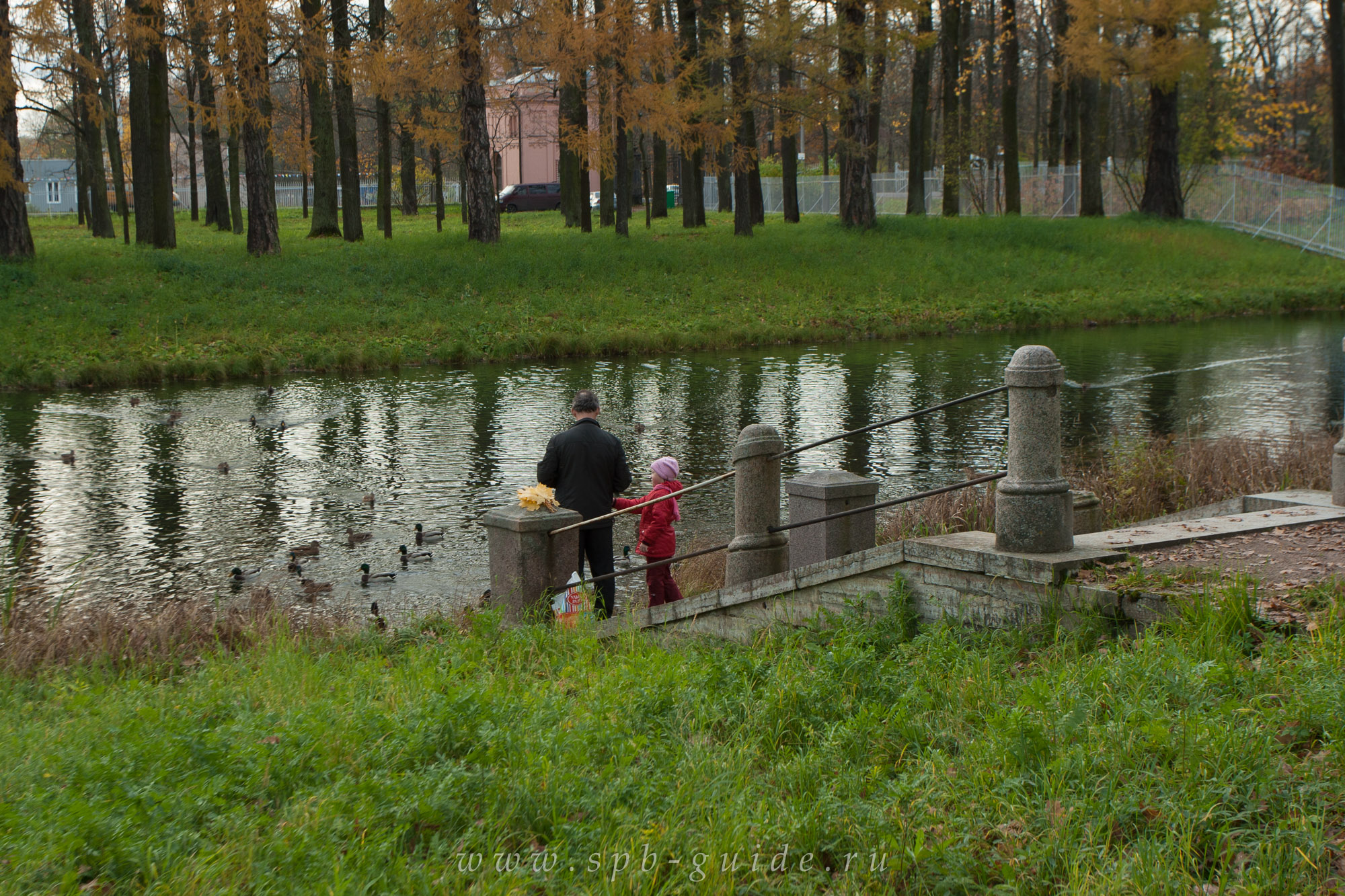 Золотая осень в Екатерининском парке, фото 35 Золотая осень в Екатерининском парке, фото 35
