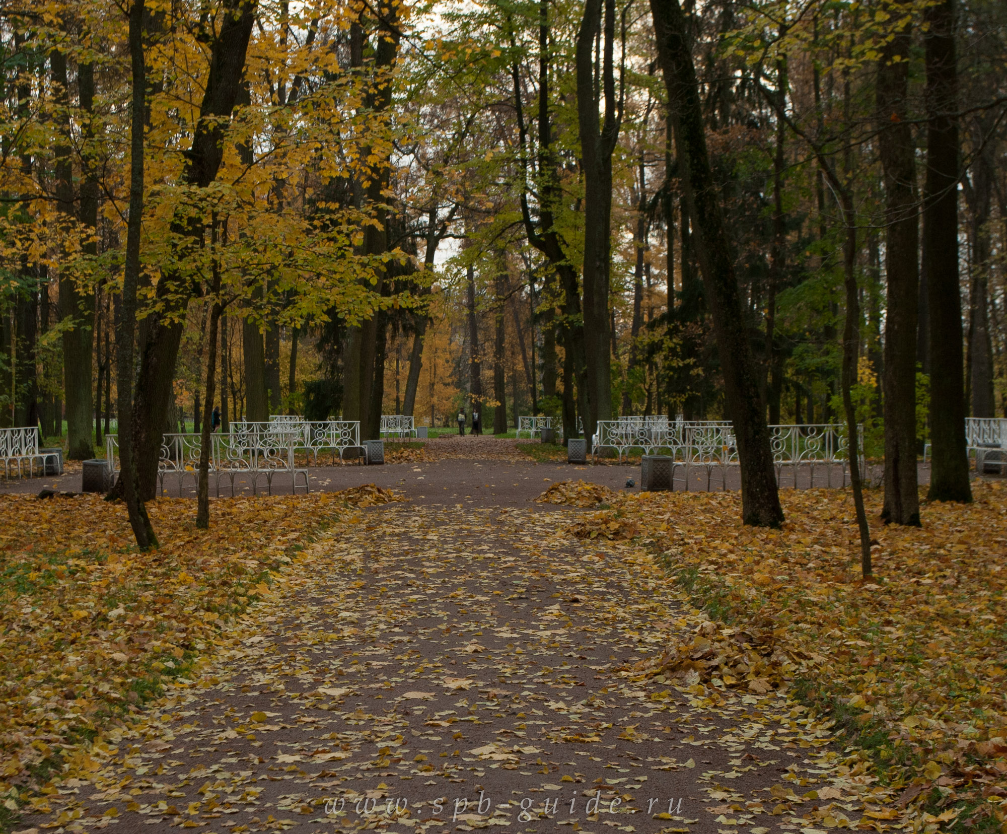 Золотая осень в Екатерининском парке, фото 11 Золотая осень в Екатерининском парке, фото 11