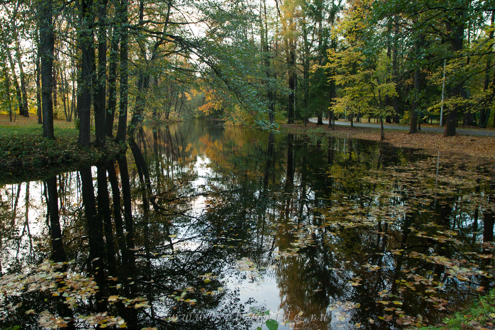 Золотая осень на Елагином острове, фото 23