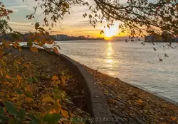Золотая осень на Елагином острове, фото 2