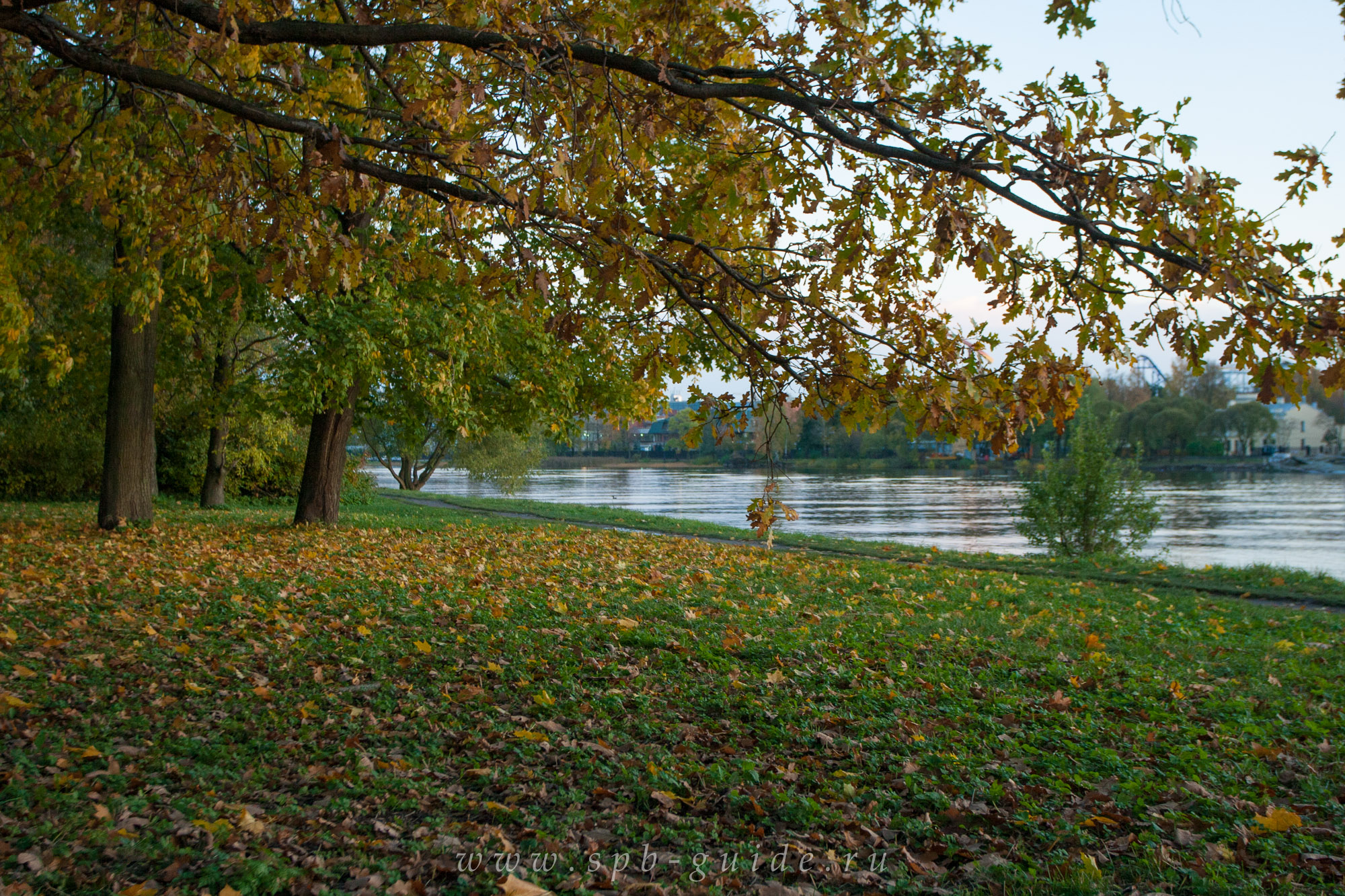 Золотая осень на Елагином острове, фото 46