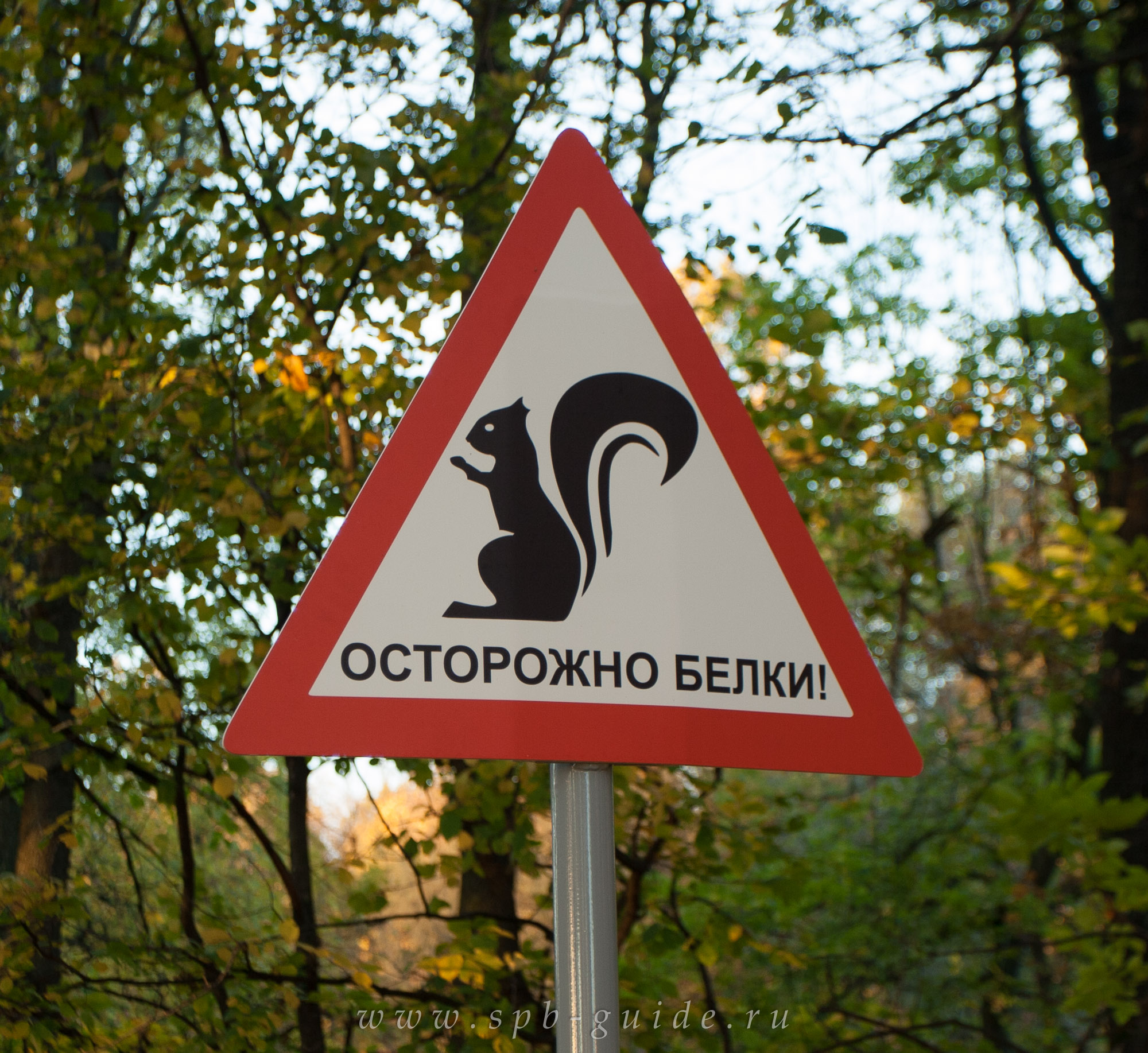 Осторожно, белки!
