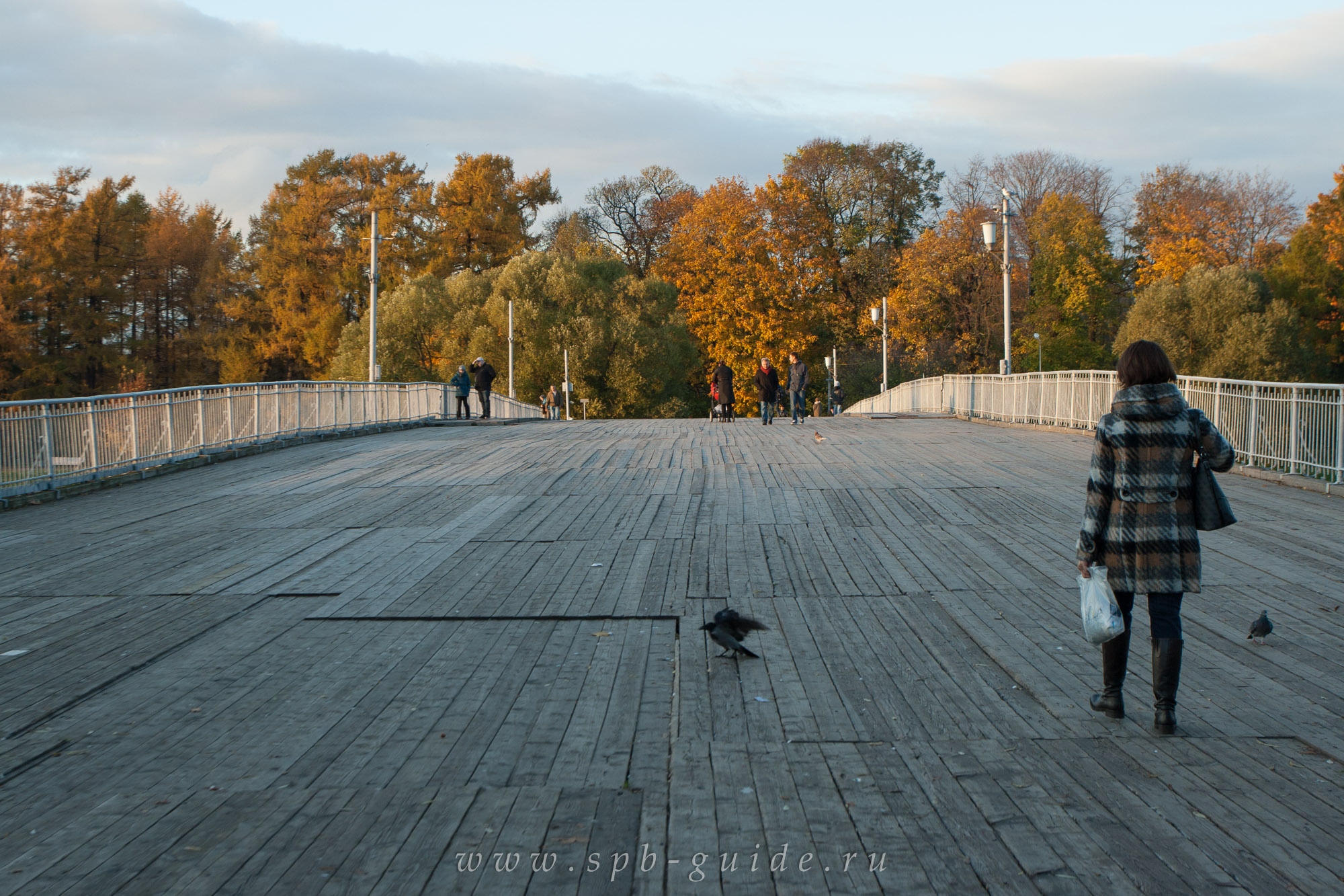 Второй Елагин мост