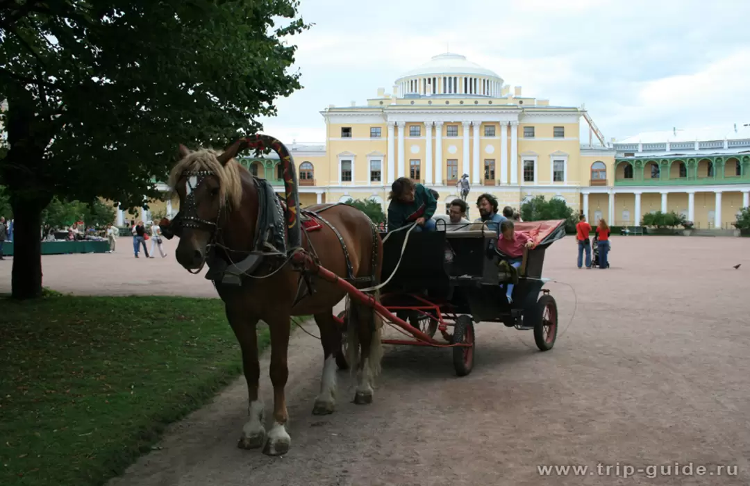 Катание на карете в Павловске Катание на карете в Павловске