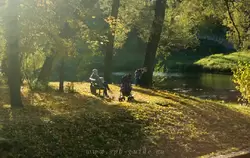 Семейная роща Семейная роща