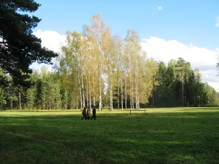 Павловск, Круг белых берез Павловск, Круг белых берез