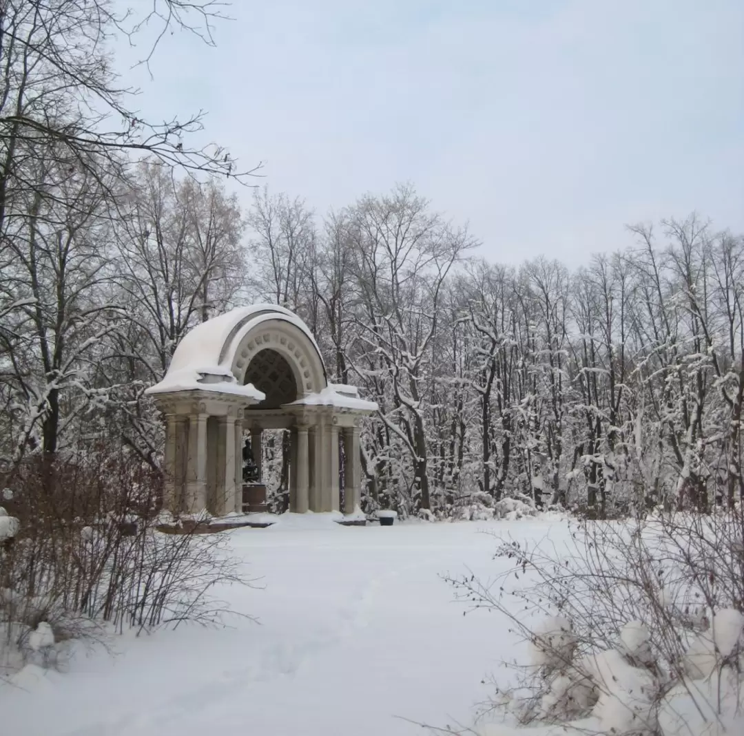 Павильон Росси Павильон Росси, фото 2