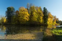 Павловский парк, остров княгини Ливен