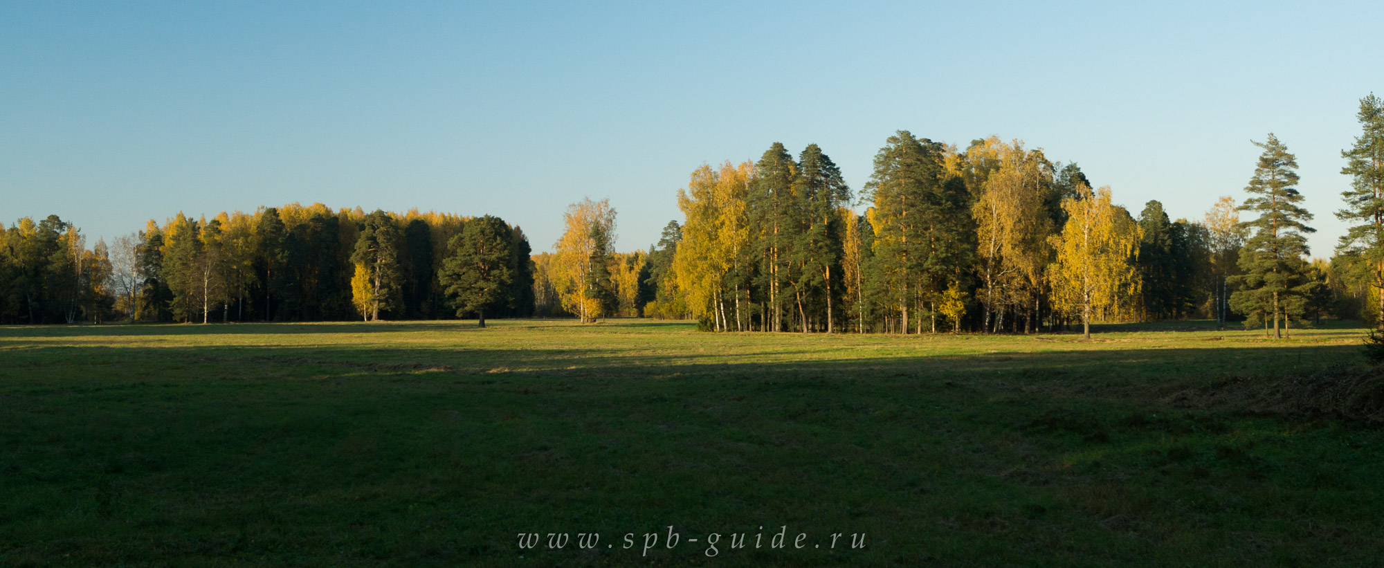 Самое красивое место Павловска