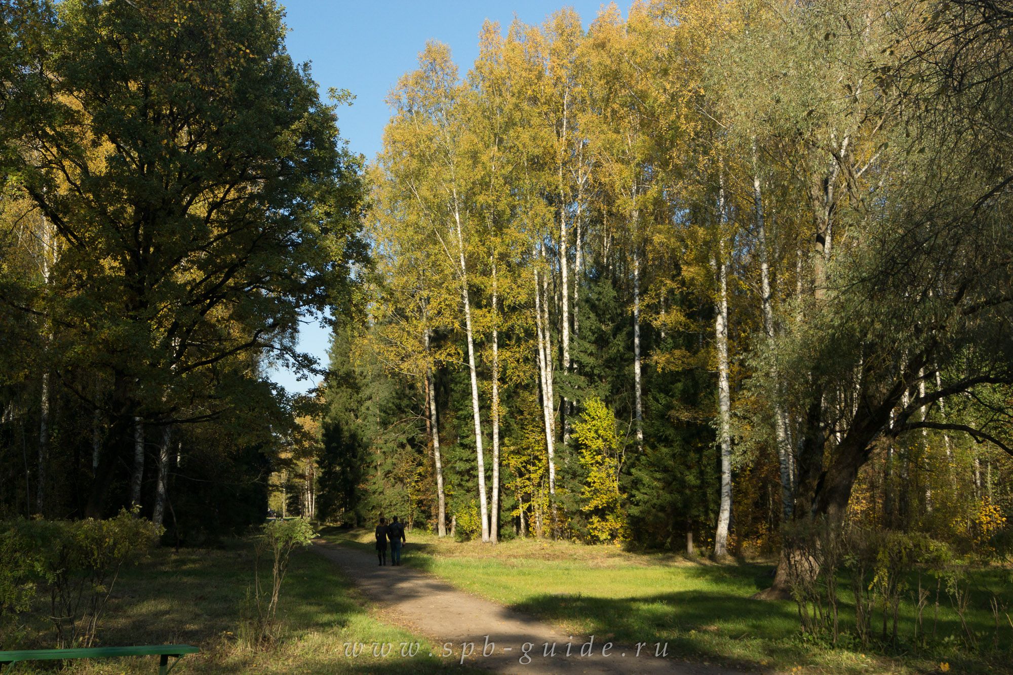 Павловск Осень Фото Парка