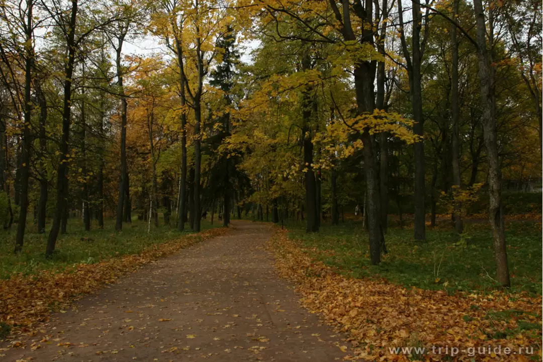 Гатчина, парк Гатчина, парк