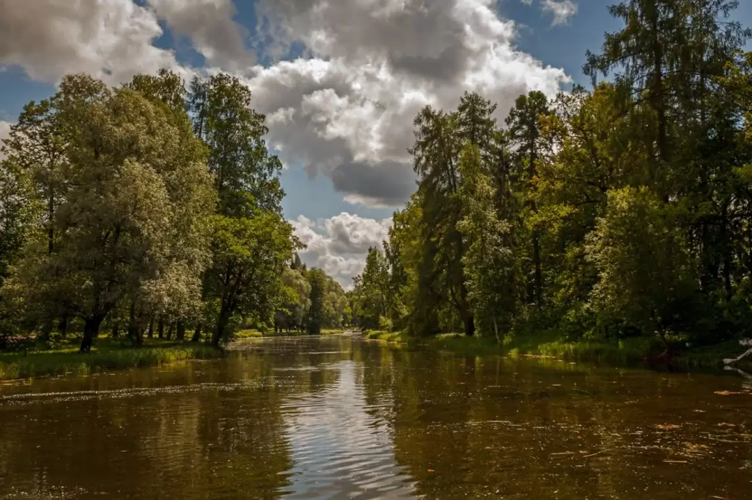 Гатчинский парк