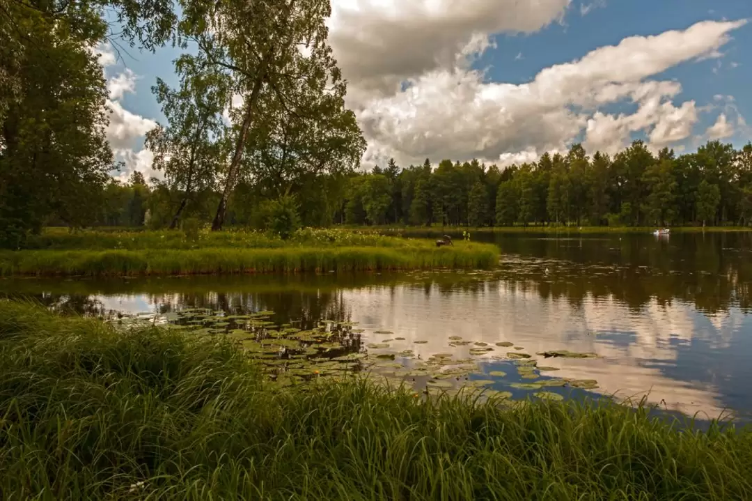 Гатчинский парк Гатчинский парк