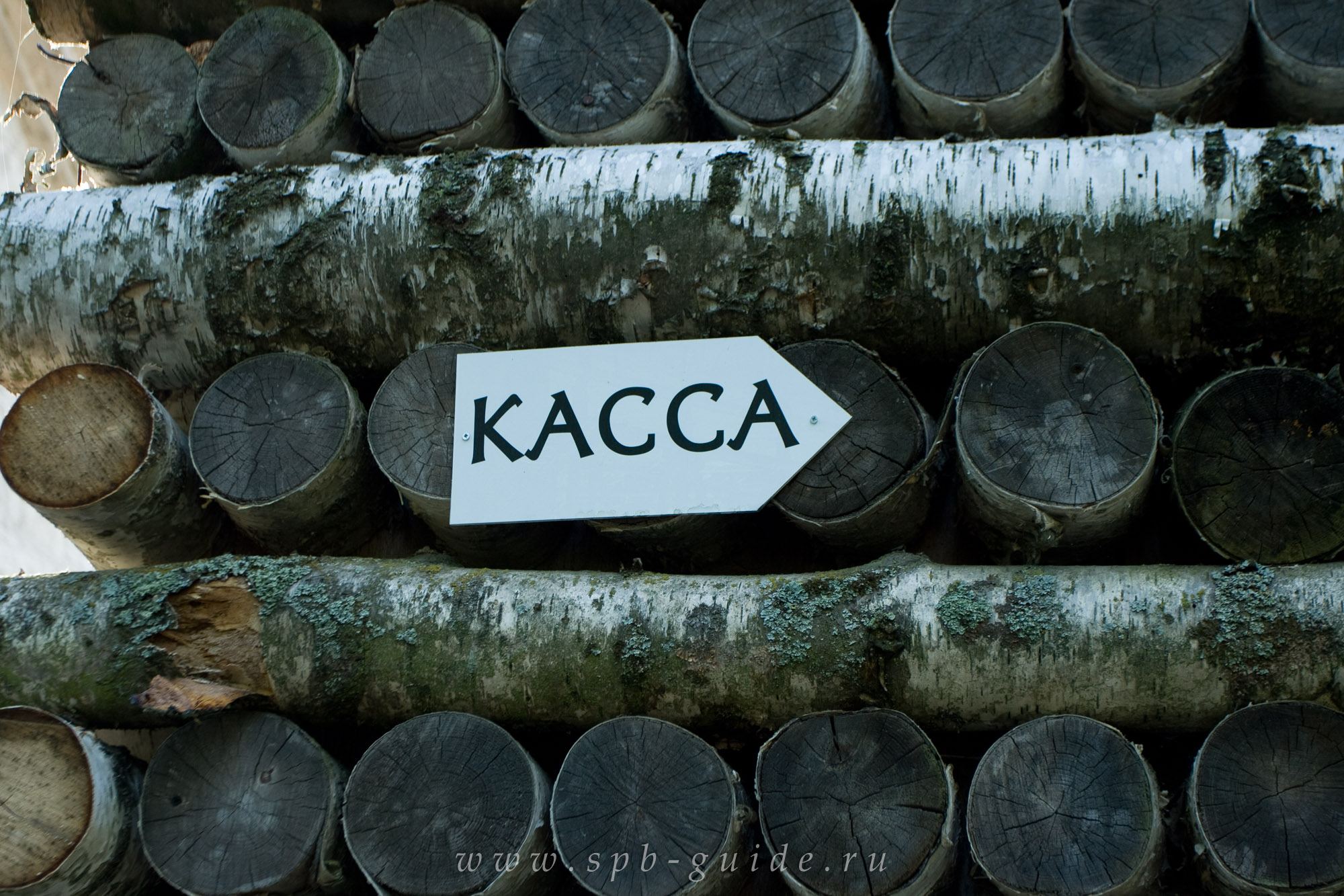 Березовый домик, фото 5
