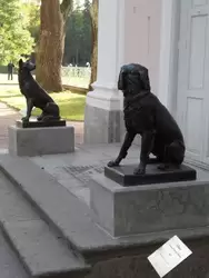 Собаки у восточного входа Китайского дворца