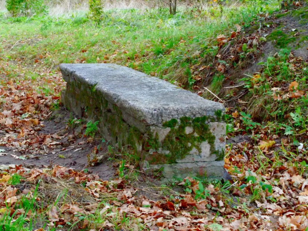 Ораниенбаум. Английская аллея. Каменная скамья Ораниенбаум. Английская аллея. Каменная скамья
