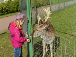 Зверинец Зверинец