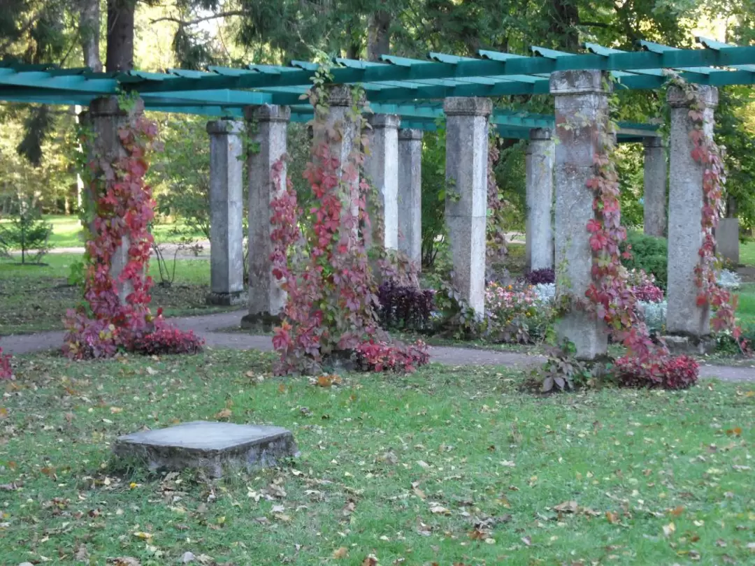 Пергола в Ломоносове