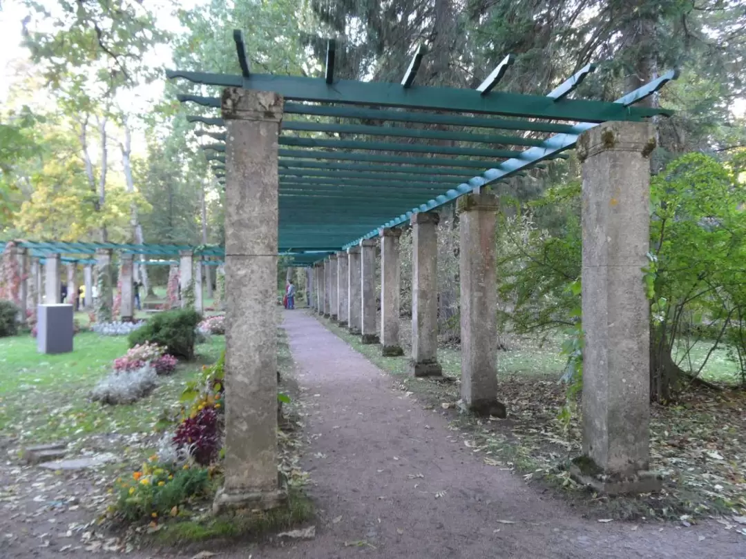 Пергола в Ораниенбауме