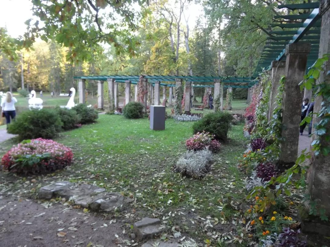 Пергола в Ораниенбауме