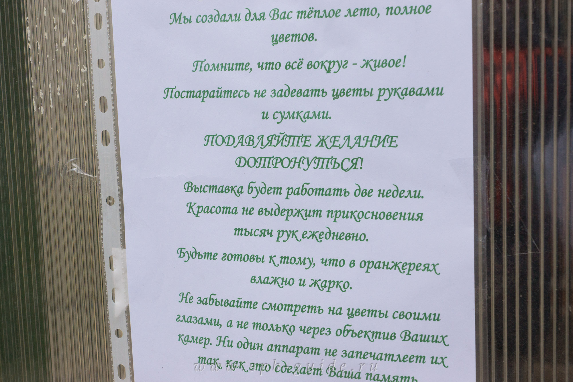 Выставка орхидей, фото 7