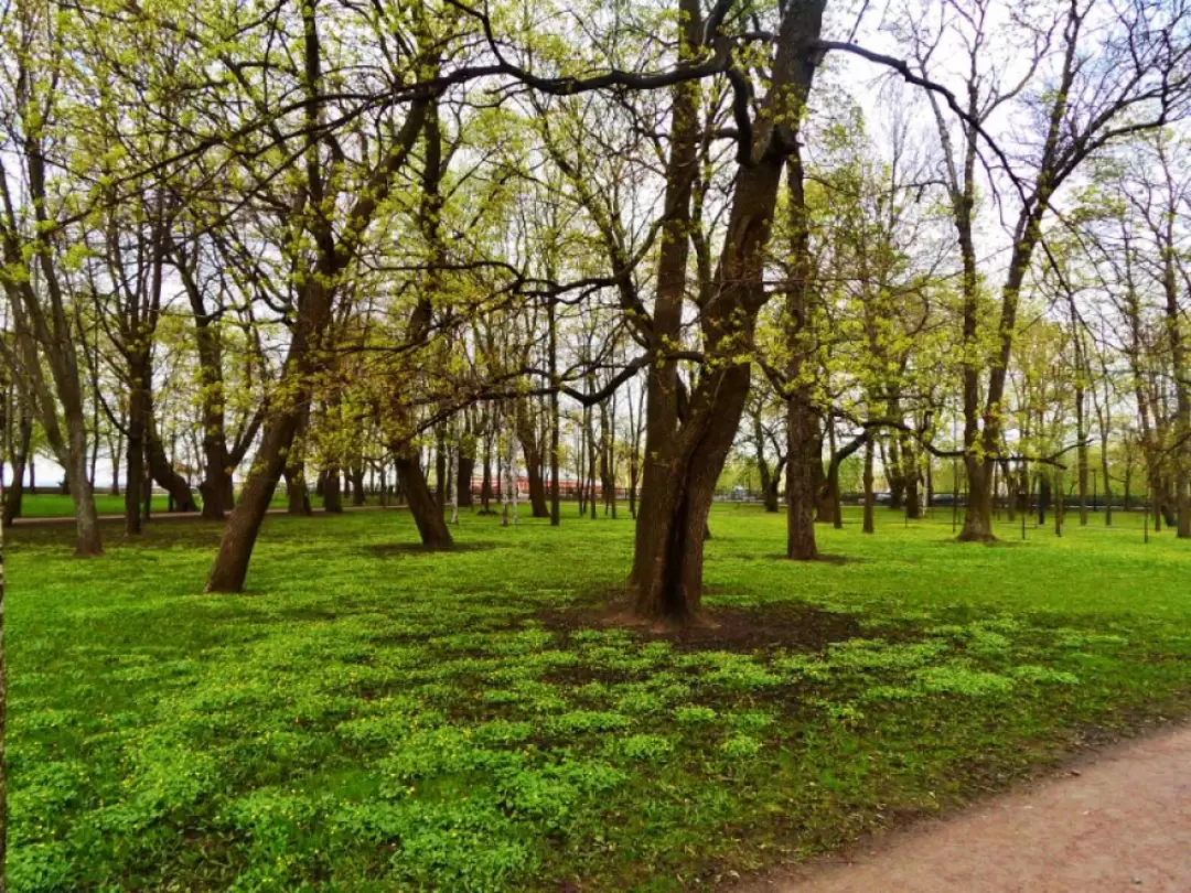 Петровский парк место для