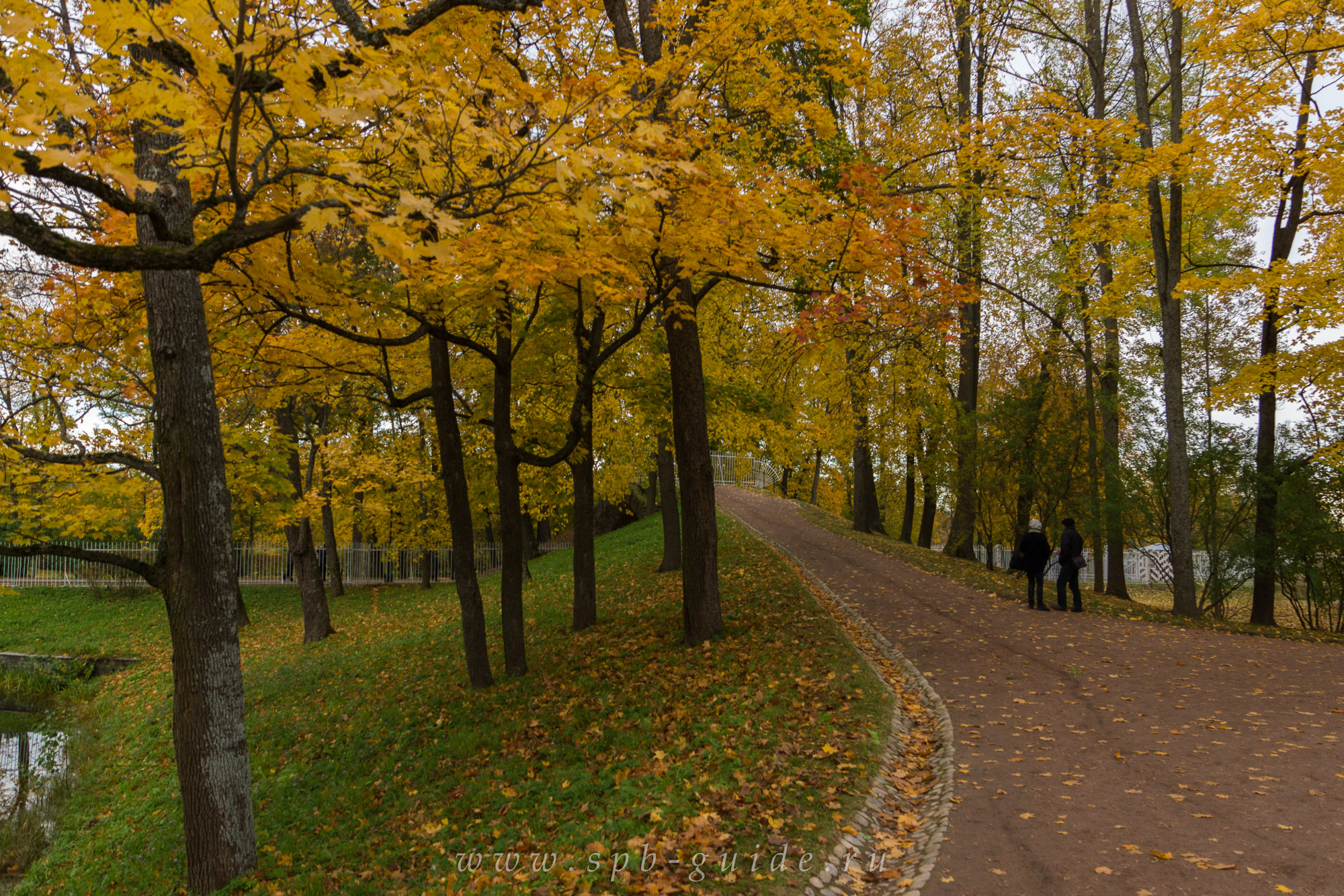 Золотая осень в Царском селе, фото 70 Золотая осень в Царском селе, фото 70