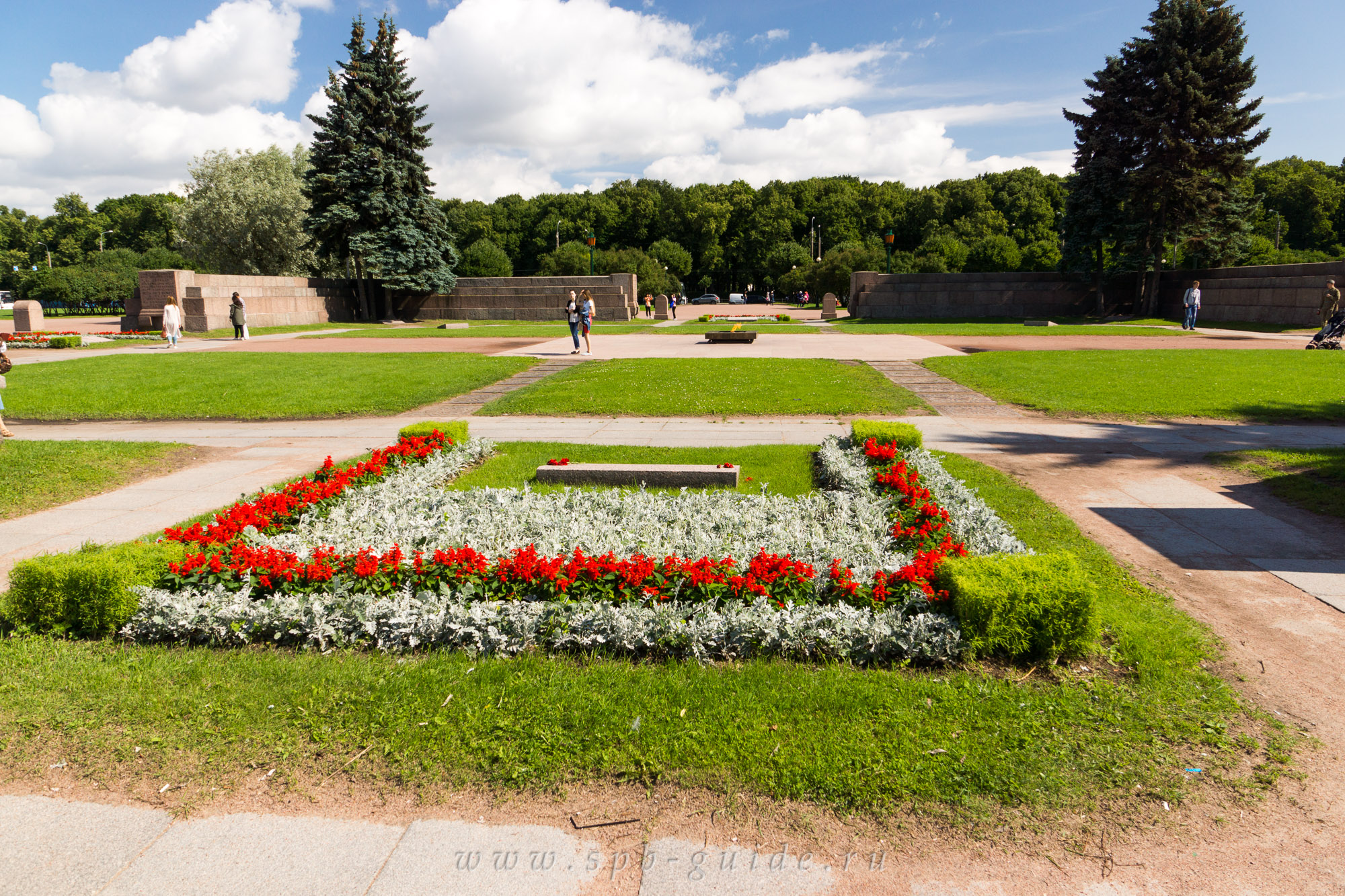 Поле Спб Для Фото