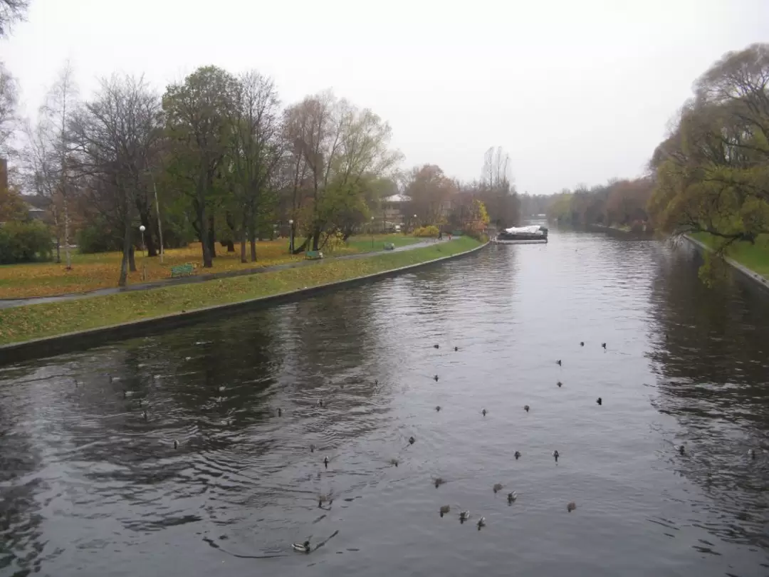Река Крестовка осенью