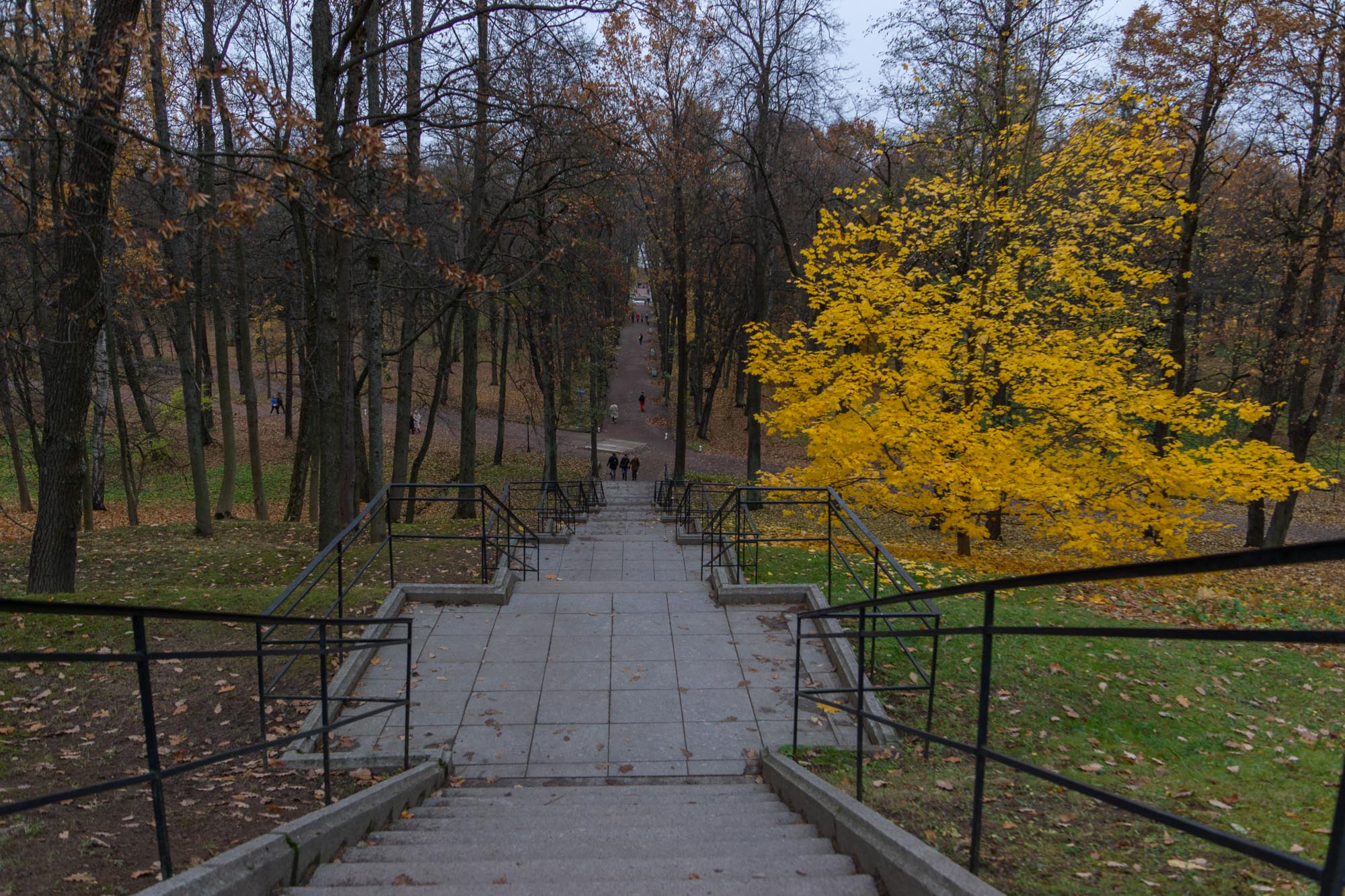 Лестница, ведущая в Нижний парк Лестница, ведущая в Нижний парк