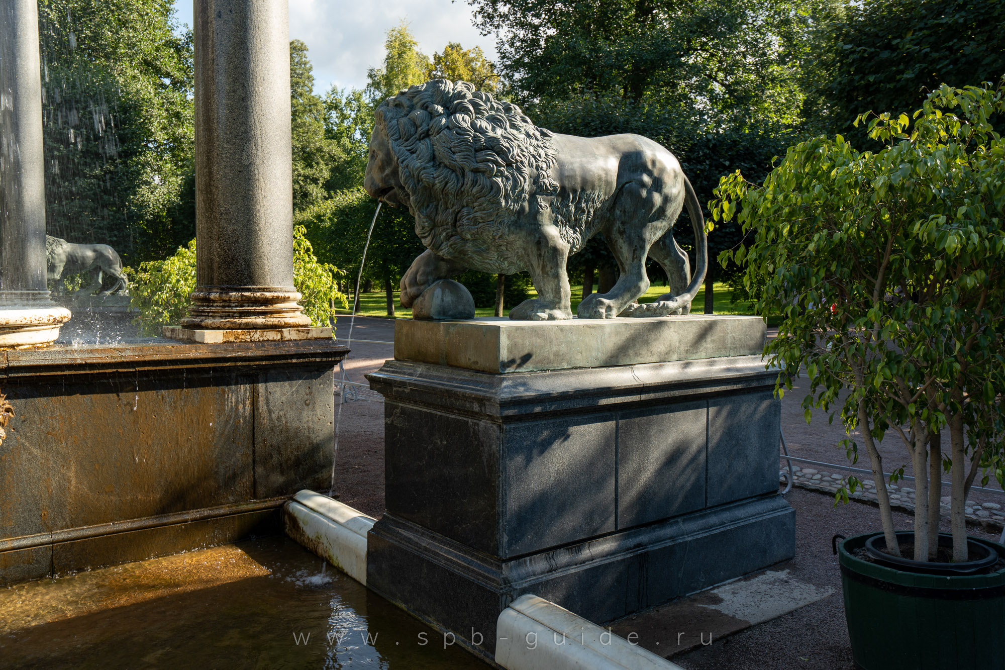 Бронзовый лев в Петергофе Бронзовый лев в Петергофе