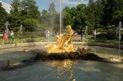 Тритоны