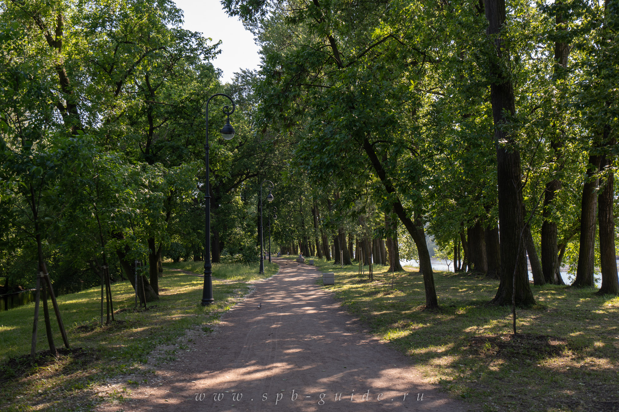Дорожка в парке Екатерингоф Дорожка в парке Екатерингоф