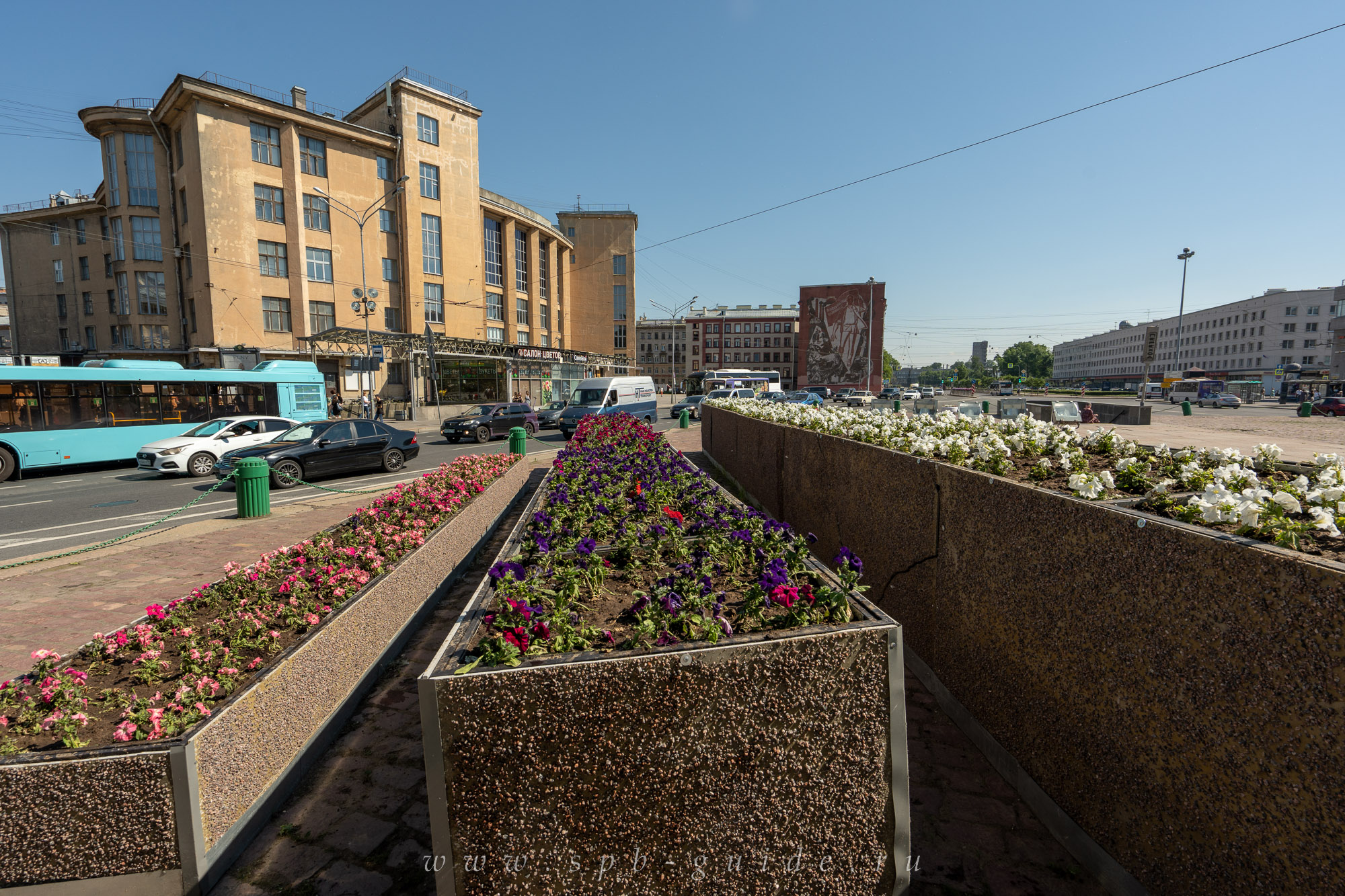 Клумбы на площади Стачек Клумбы на площади Стачек