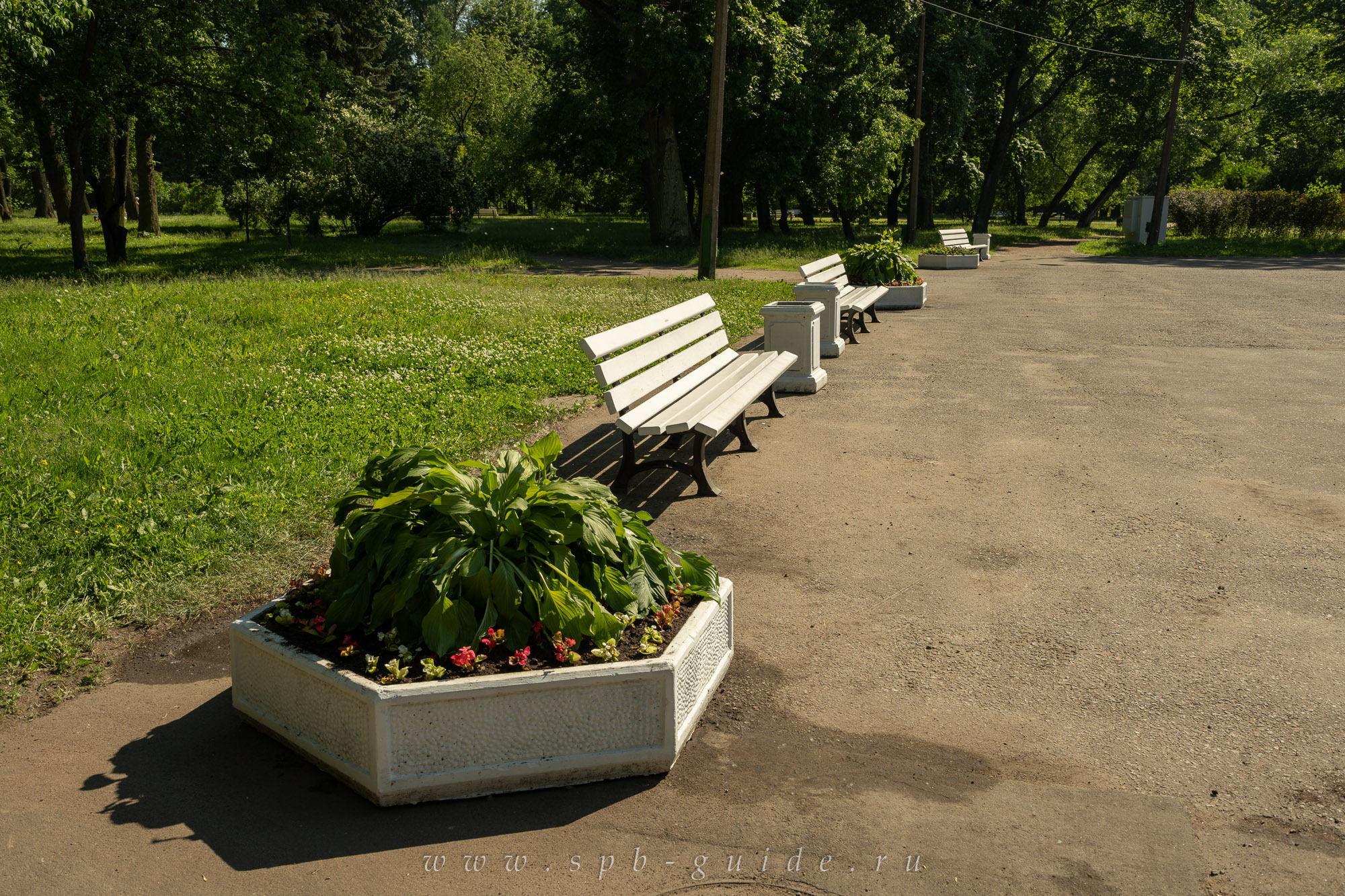 Скамейки и клумбы у летнего театра Скамейки и клумбы у летнего театра