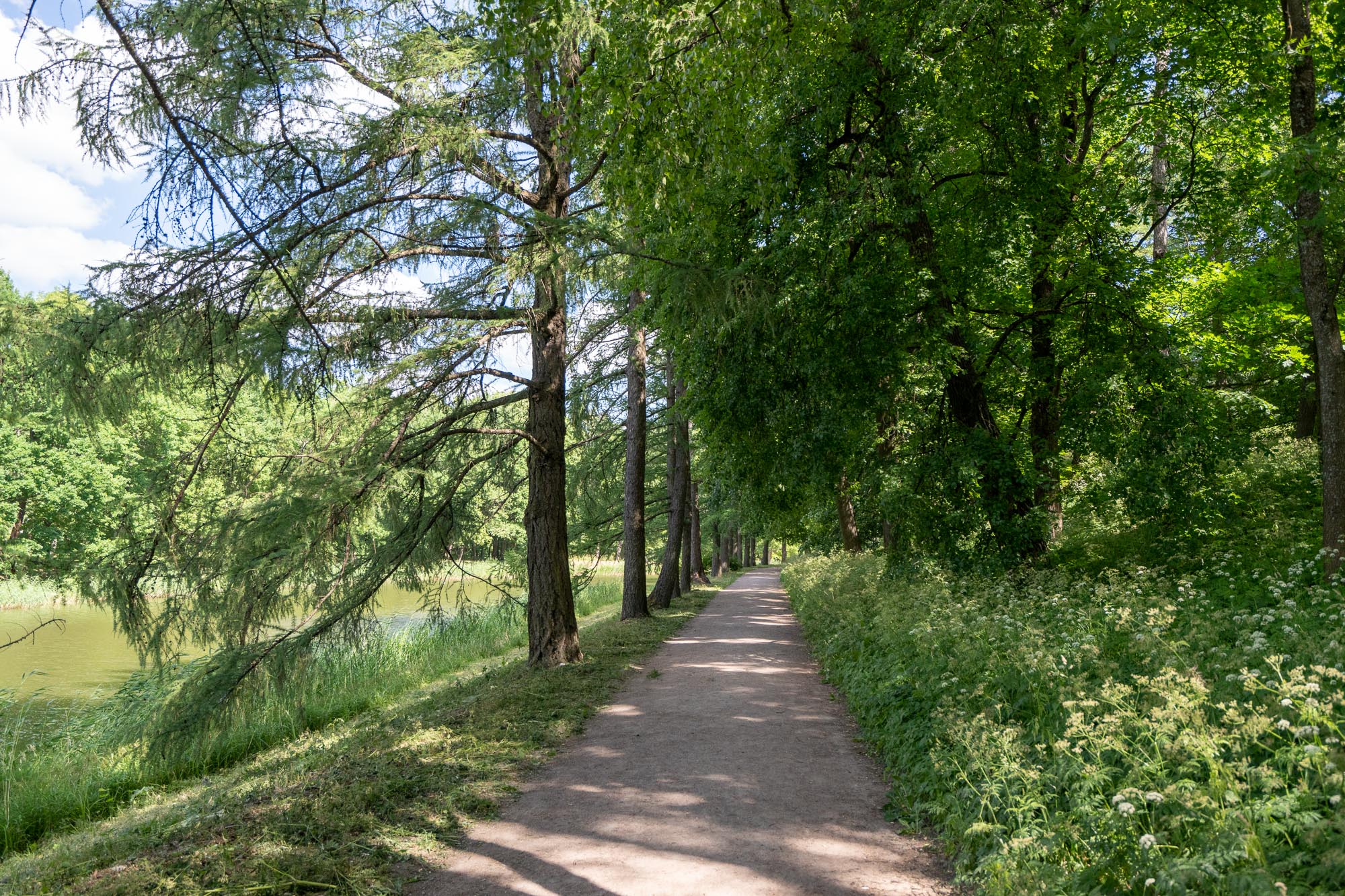 Дорожка в Екатерининском парке