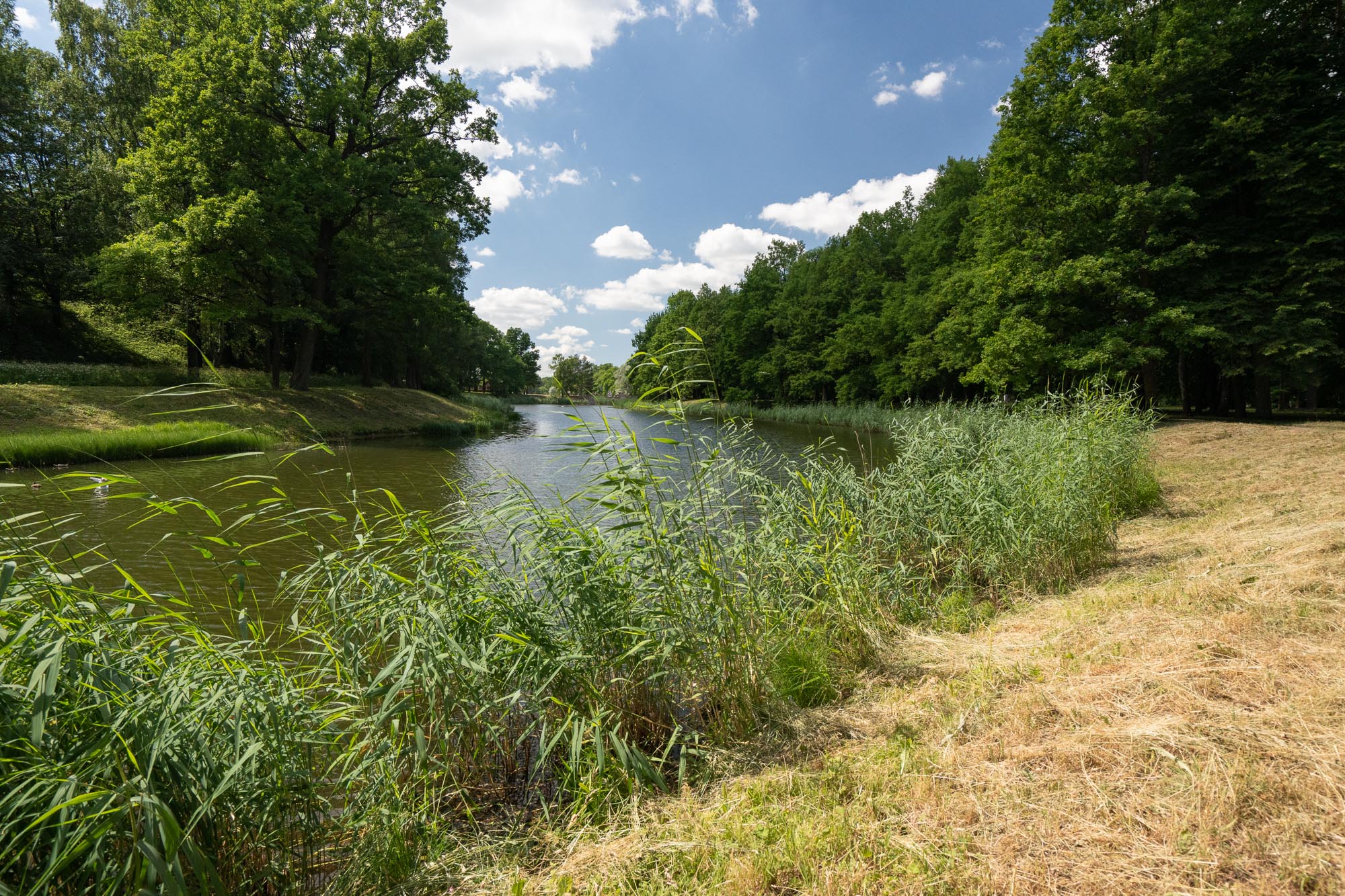 Первый Нижний пруд, Царское Село